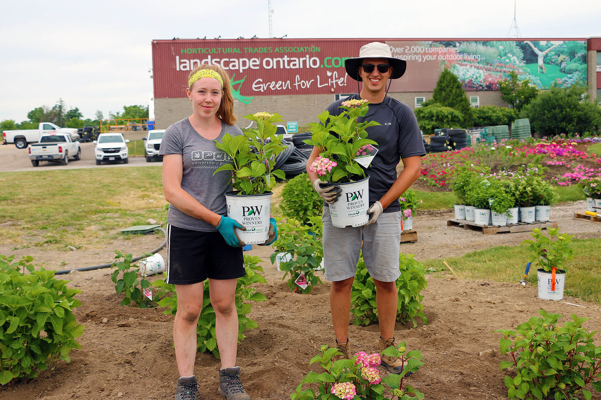 University of Guelph students Leigh Cogar and Will MacKenzie planting the hydrangea trial at LO.