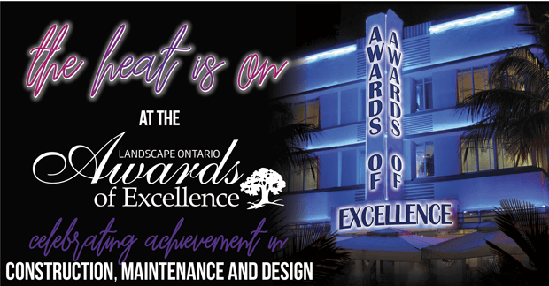 Awards of Excellence - The heat is on!