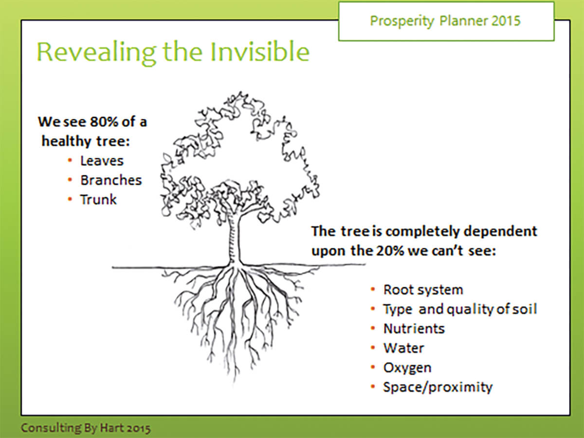 revealing the invisible