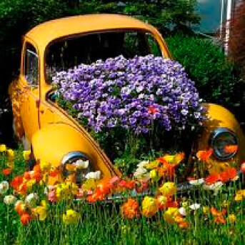 old car with plants growing out of the hood