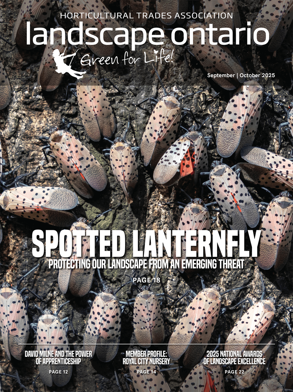 LO magazine cover September 2025