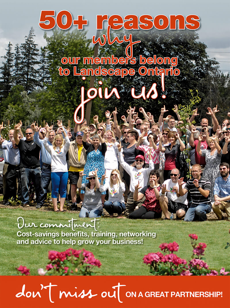 50+ reasons why booklet cover